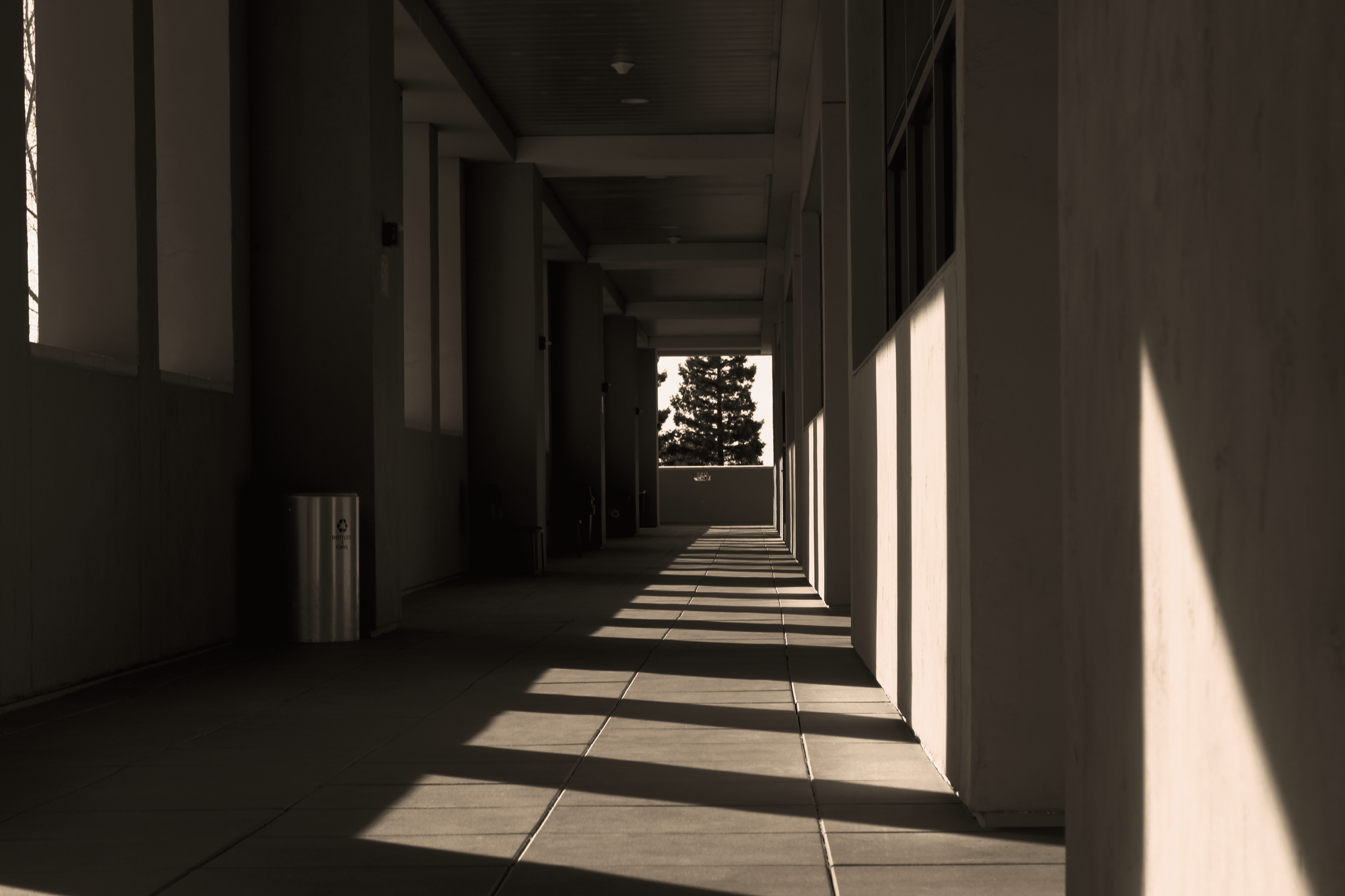 Photography image 4